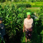 Kolaborasi Polisi dan Petani di Mareje Timur untuk Ketahanan Pangan
