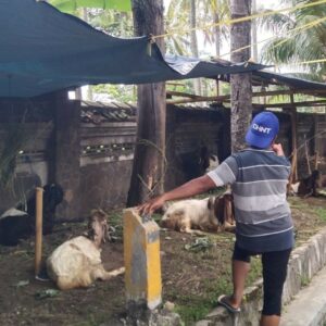 Ketahanan Pangan Dimulai dari Pekarangan: Inisiatif Bhabinkamtibmas Batulayar Barat