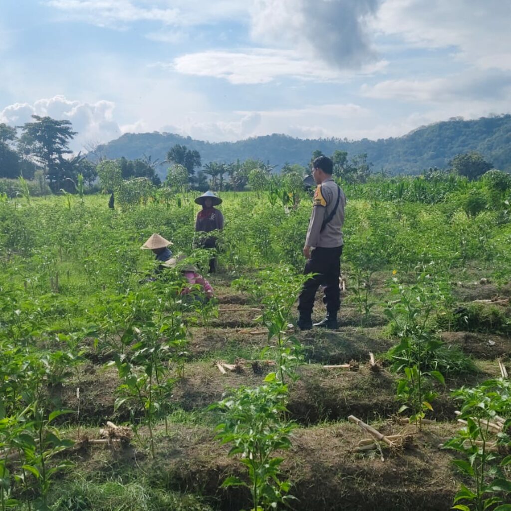 Bhabinkamtibmas Bangun Ketahanan Pangan Lewat Silaturahmi di Dusun Penimbung