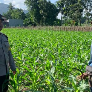 Polsek Gerung Dorong Pemanfaatan Pekarangan Warga di Dasan Geres