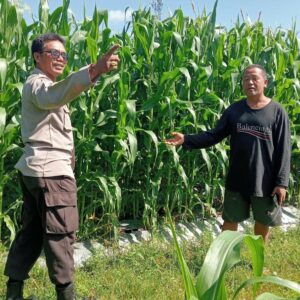 Sinergi Polri-Petani Dukung Ketahanan Pangan di Lombok Barat