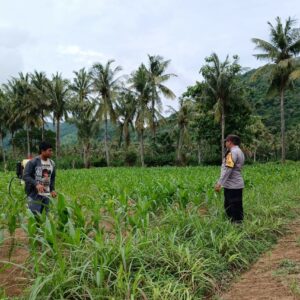 Aparat Dampingi Petani: Edukasi dan Motivasi di Desa Giri Tembesi