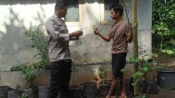 Polsek Batulayar Dukung Swasembada Pangan dari Rumah Warga