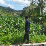 Bhabinkamtibmas Eyat Mayang Dampingi Petani Jagung Hadapi Tantangan Cuaca