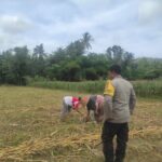 Sinergi Polisi dan Petani di Banyumulek Perkuat Ketahanan Pangan Lokal