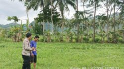 Bhabinkamtibmas Cendi Manik Dorong Ketahanan Pangan Lewat Kunjungan ke Petani