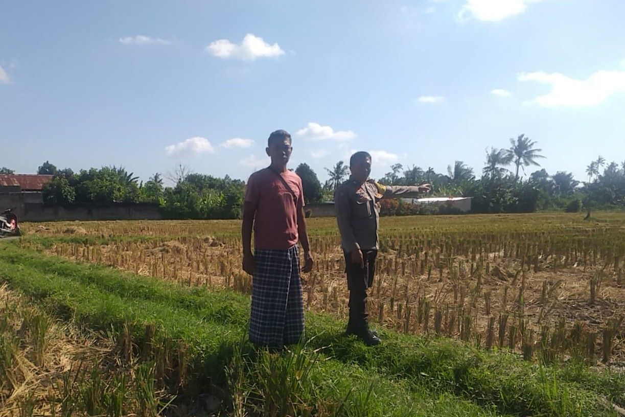 Bhabinkamtibmas Desa Jagaraga Dorong Kemandirian Pangan dari Pekarangan Warga