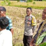 Polsek Kediri Kembangkan Program Ketahanan Pangan di Desa Rumak, Lombok Barat