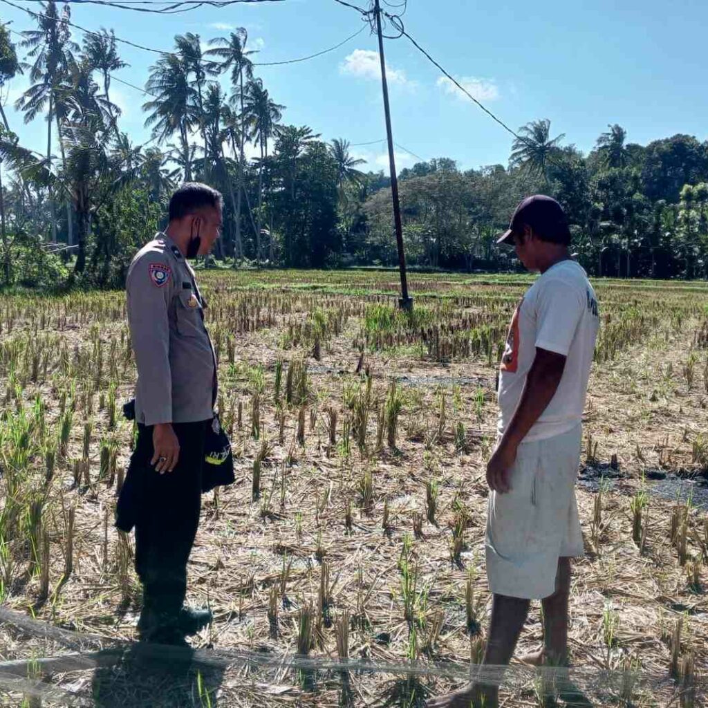 Polri dan Warga Kuripan Bangun Ketahanan Pangan dari Rumah