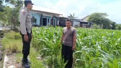 Bhabinkamtibmas Labuapi Dorong Pemanfaatan Lahan Kosong untuk Ketahanan Pangan