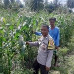 Sambangi Dusun Saru, Polri Dorong Swasembada Pangan di Lombok Barat