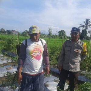 Sinergi Polri dan Petani Montong Are Percepat Ketahanan Pangan Nasional