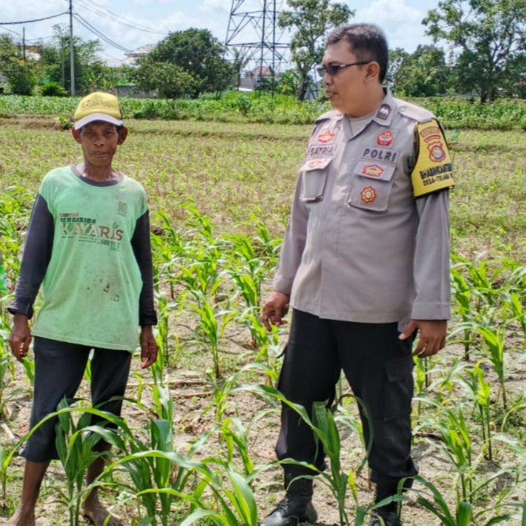 Bhabinkamtibmas Telagawaru Dorong Ketahanan Pangan Warga Paok Kambut