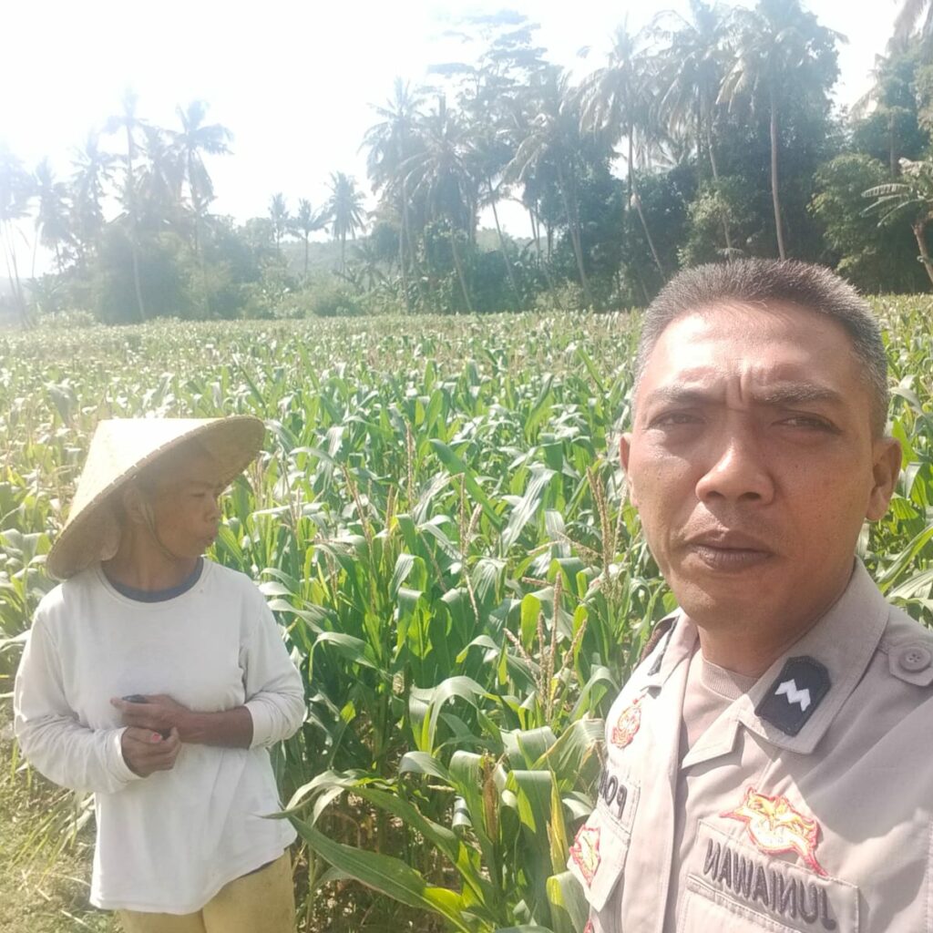 Bhabinkamtibmas Kuripan Gagas Ketahanan Pangan dari Pekarangan Rumah