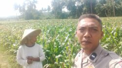 Bhabinkamtibmas Kuripan Gagas Ketahanan Pangan dari Pekarangan Rumah