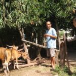 Bhabinkamtibmas Batulayar Barat Dorong Pangan Mandiri
