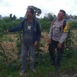 Dusun Beremi Jadi Contoh Pemanfaatan Pekarangan, Polri Dukung Ketahanan Pangan Lokal
