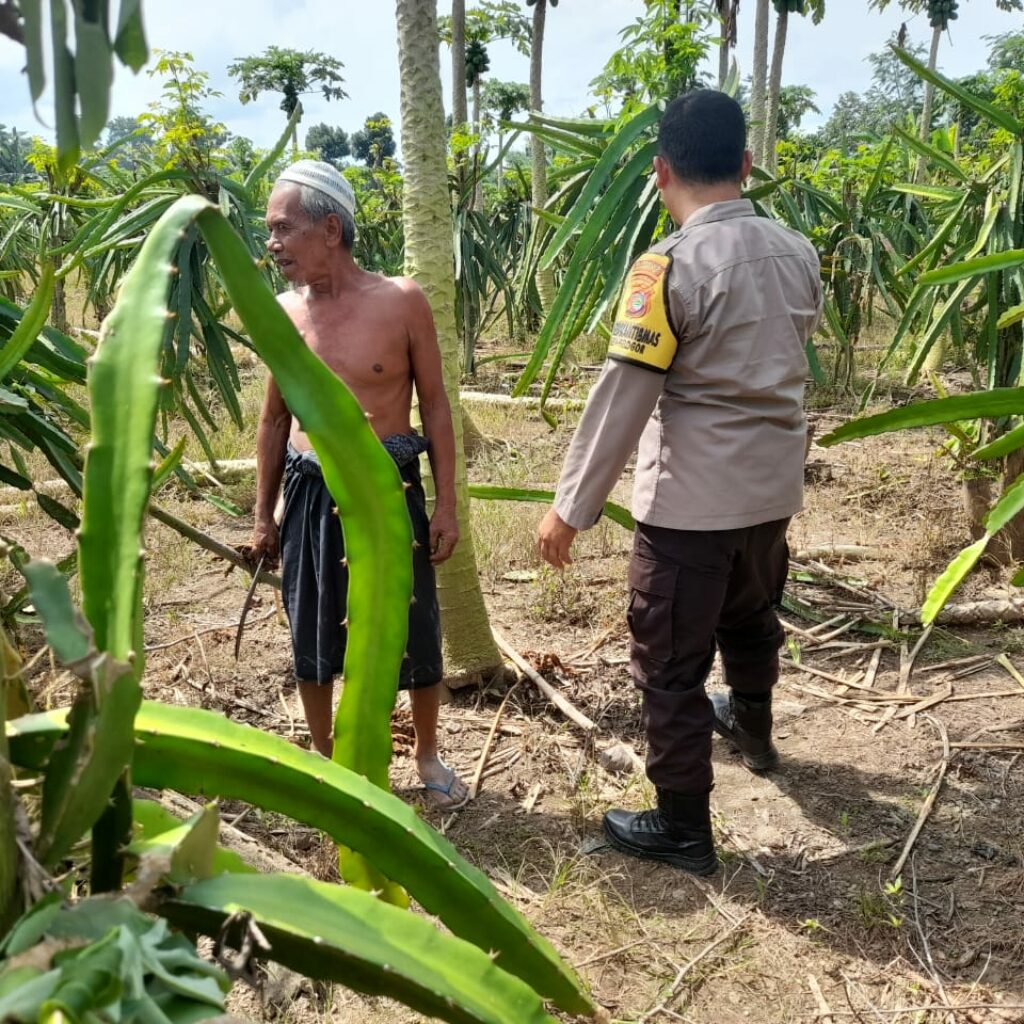 Polisi Desa di Gelogor Aktif Dampingi Petani Lindungi Tanaman
