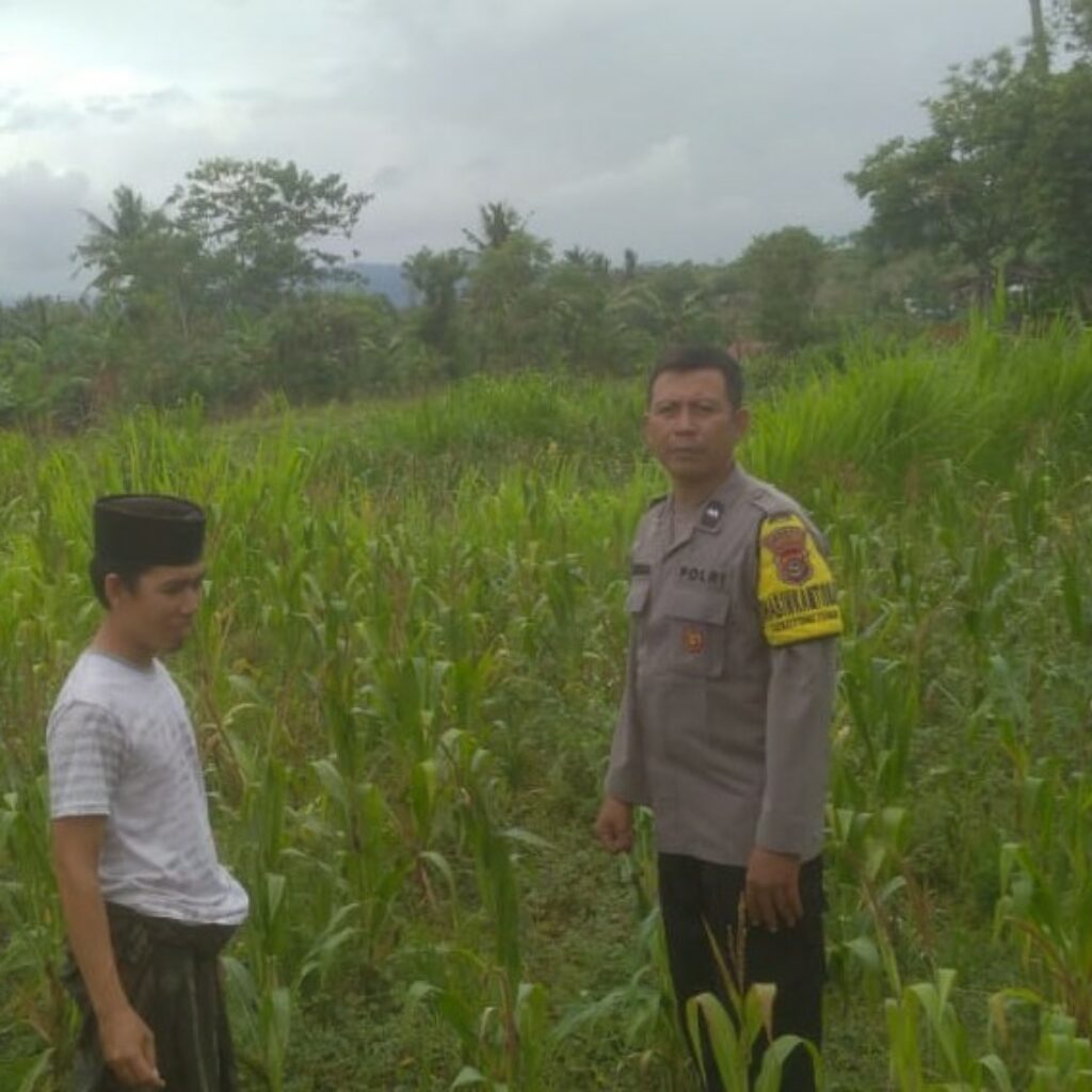 Ketahanan Pangan dan Keamanan Diperkuat di Sekotong Tengah Lewat DDS Bhabinkamtibmas