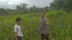 Ketahanan Pangan dan Keamanan Diperkuat di Sekotong Tengah Lewat DDS Bhabinkamtibmas