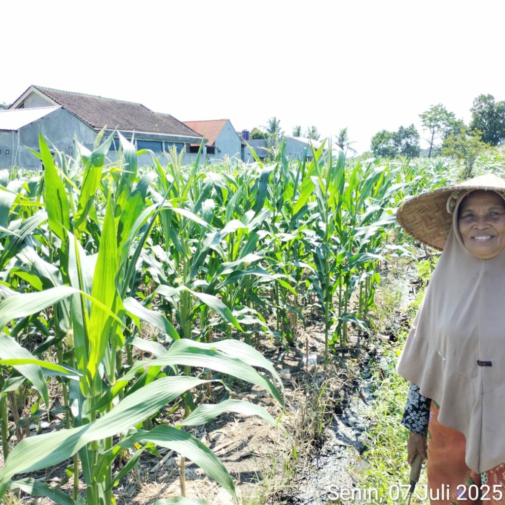 ketahanan pangan, Bhabinkamtibmas, Labuapi, Polsek Labuapi, pekarangan produktif, pertanian lokal, sinergi polisi masyarakat, NTB, pangan nasional, Harkamtibmas