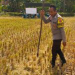 Polisi Ajak Warga Kuripan Utara Manfaatkan Pekarangan untuk Swasembada Pangan
