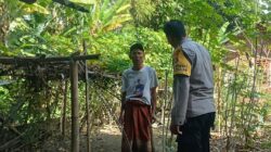 Ketahanan Pangan Dimulai dari Pekarangan: Inisiatif di Desa Babussalam