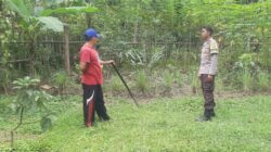 Dari Bengkaung Daye, Inovasi Pekarangan Warga Dorong Kemandirian Pangan