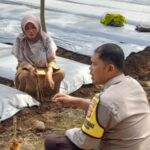 Sinergi Polisi-Petani di Dusun Gersik Asri Demi Ketahanan Pangan NTB