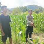Sinergi Polri dan Petani: Aksi Bhabinkamtibmas Cendi Manik di Dusun Sayong Apit Aik