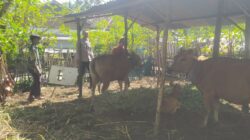 Polri dan Warga Sekotong Kolaborasi Kembangkan Peternakan