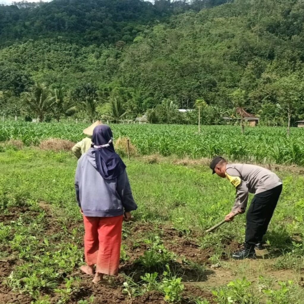 Bhabinkamtibmas Kuripan Gagas Ketahanan Pangan dari Pekarangan Rumah