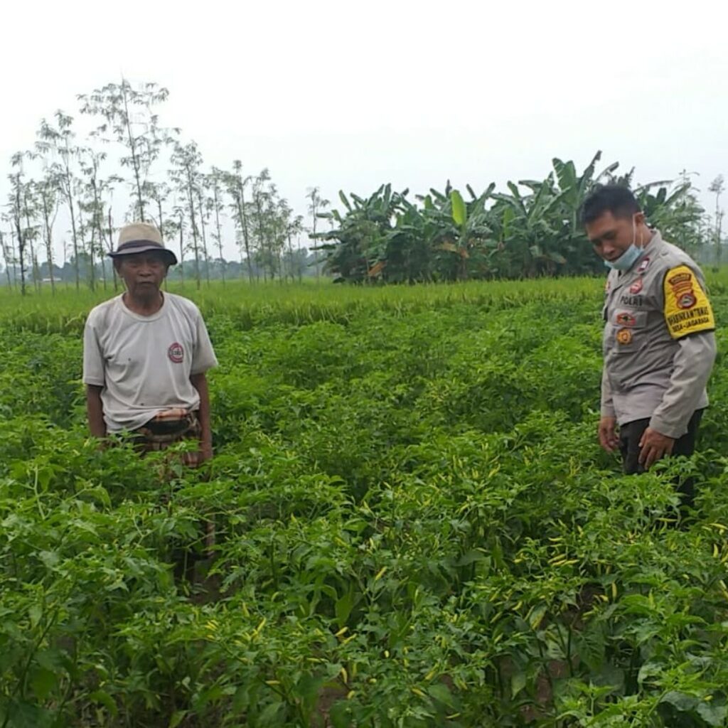 Bhabinkamtibmas Kuripan Edukasi Petani Adeng Soal Lahan Produktif