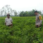 Bhabinkamtibmas Kuripan Edukasi Petani Adeng Soal Lahan Produktif