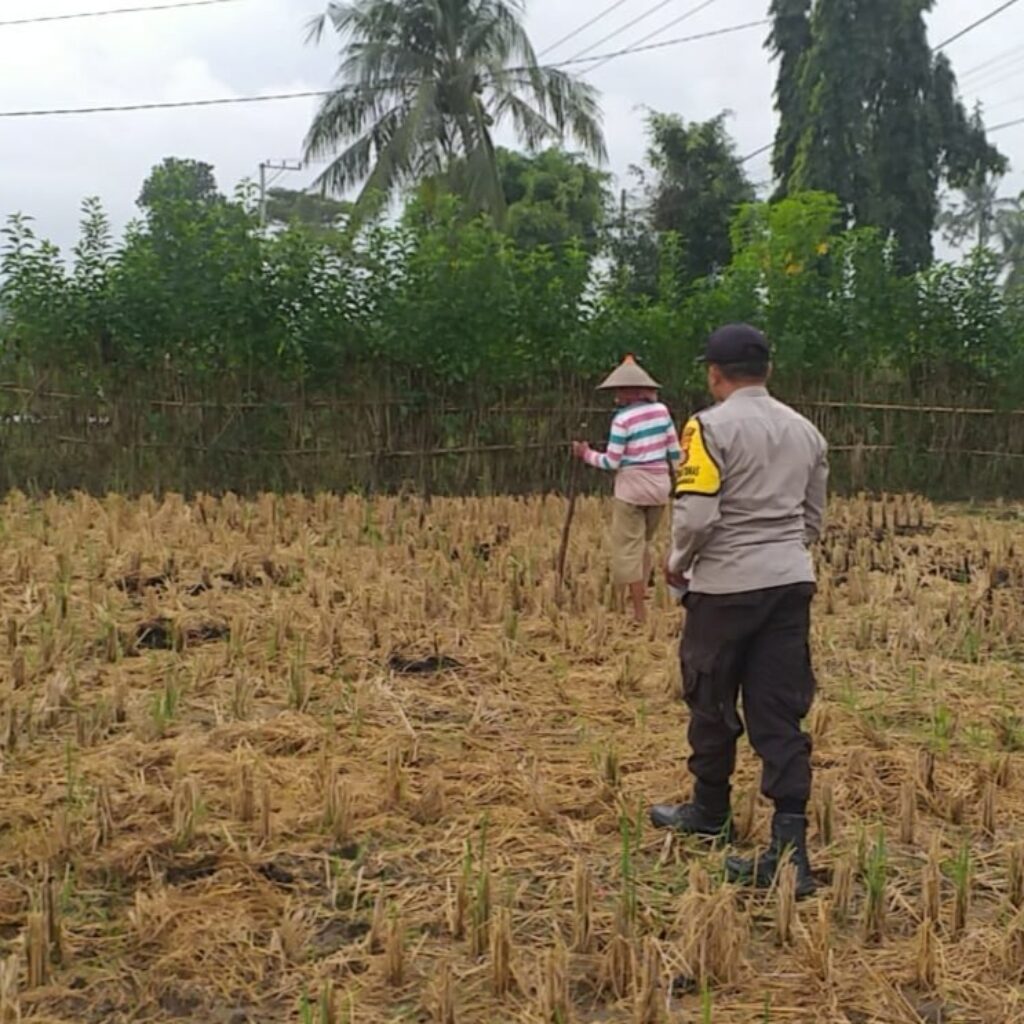 Sinergi Polri dan Warga Jagaraga Kembangkan Ketahanan Pangan Keluarga