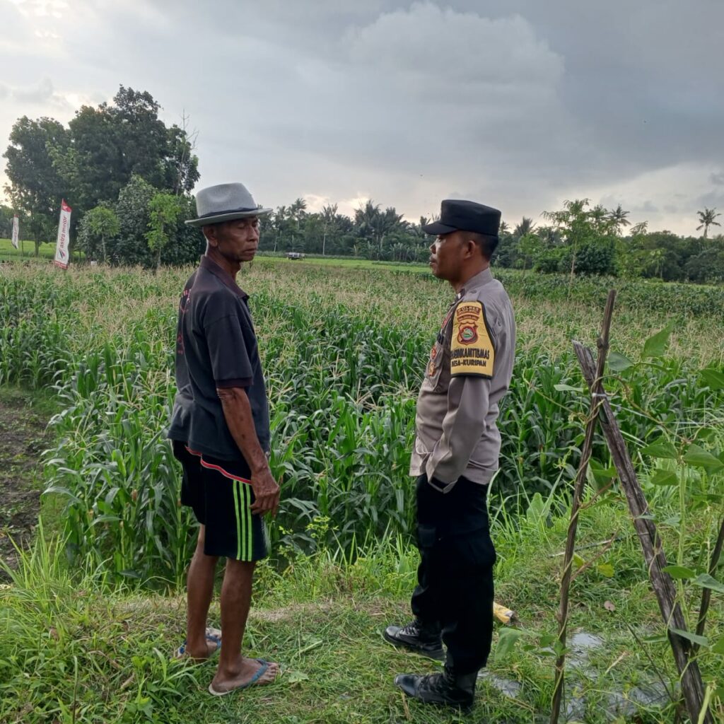 Bhabinkamtibmas Edukasi Petani Kuripan Utara Soal Ketahanan Pangan