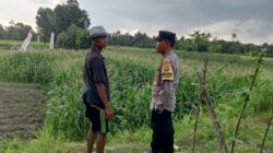 Bhabinkamtibmas Edukasi Petani Kuripan Utara Soal Ketahanan Pangan