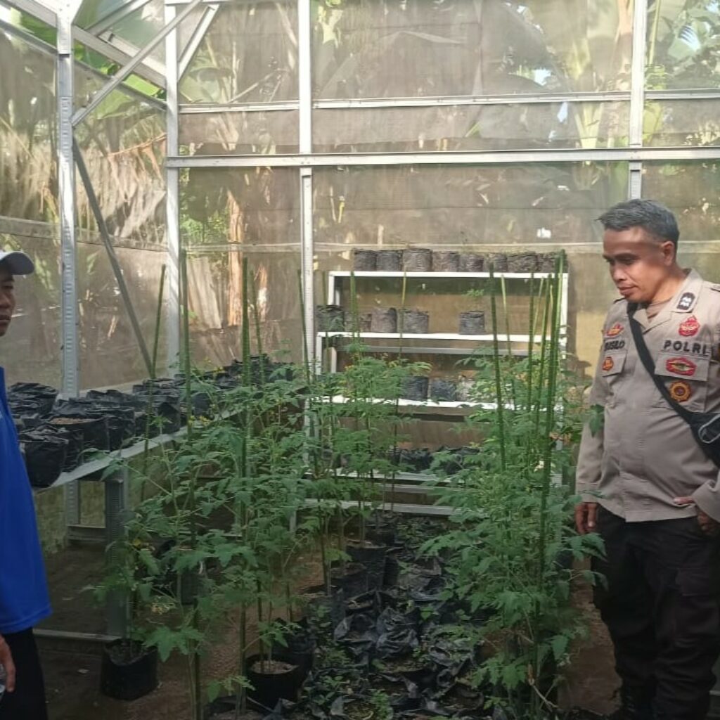 Bhabinkamtibmas Sandik Edukasi Pemanfaatan Pekarangan untuk Pangan