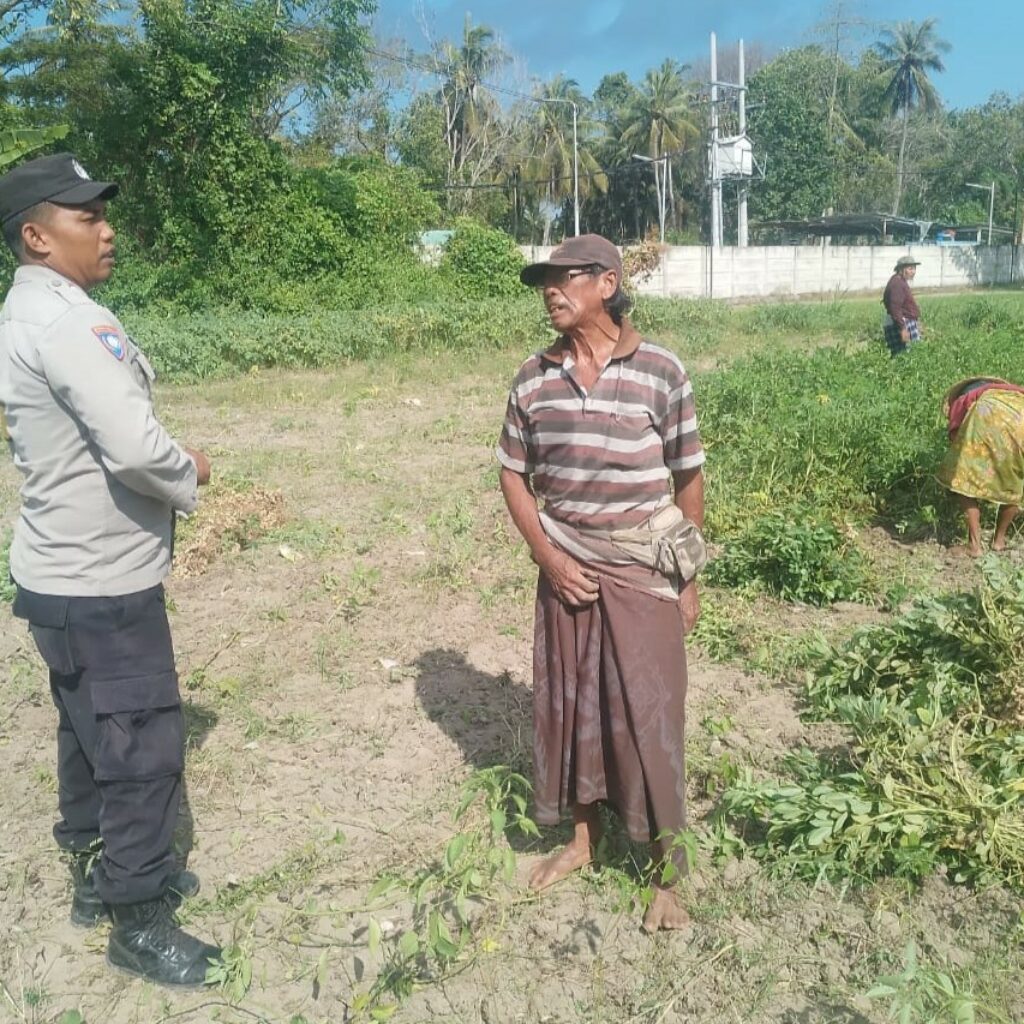 Sinergi TNI-Polri Dukung Ketahanan Pangan di Desa Taman Ayu, Gerung