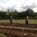 Polri Gandeng Petani Kediri Wujudkan Ketahanan Pangan Nasional
