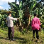 Aipda Ahyar Haryanto Giat Edukasi Ketahanan Pangan di Desa Gelogor