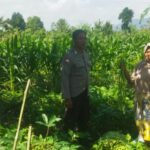 Sinergi Polri dan Petani di Lombok Barat, Ketahanan Pangan Jadi Prioritas