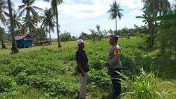 Kunjungi Petani di Sekotong, Polri Tekankan Pemanfaatan Lahan Demi Kedaulatan Pangan