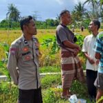 Dukung Ketahanan Pangan, Polisi Sambangi Petani Padi di Rumak Barat Selatan