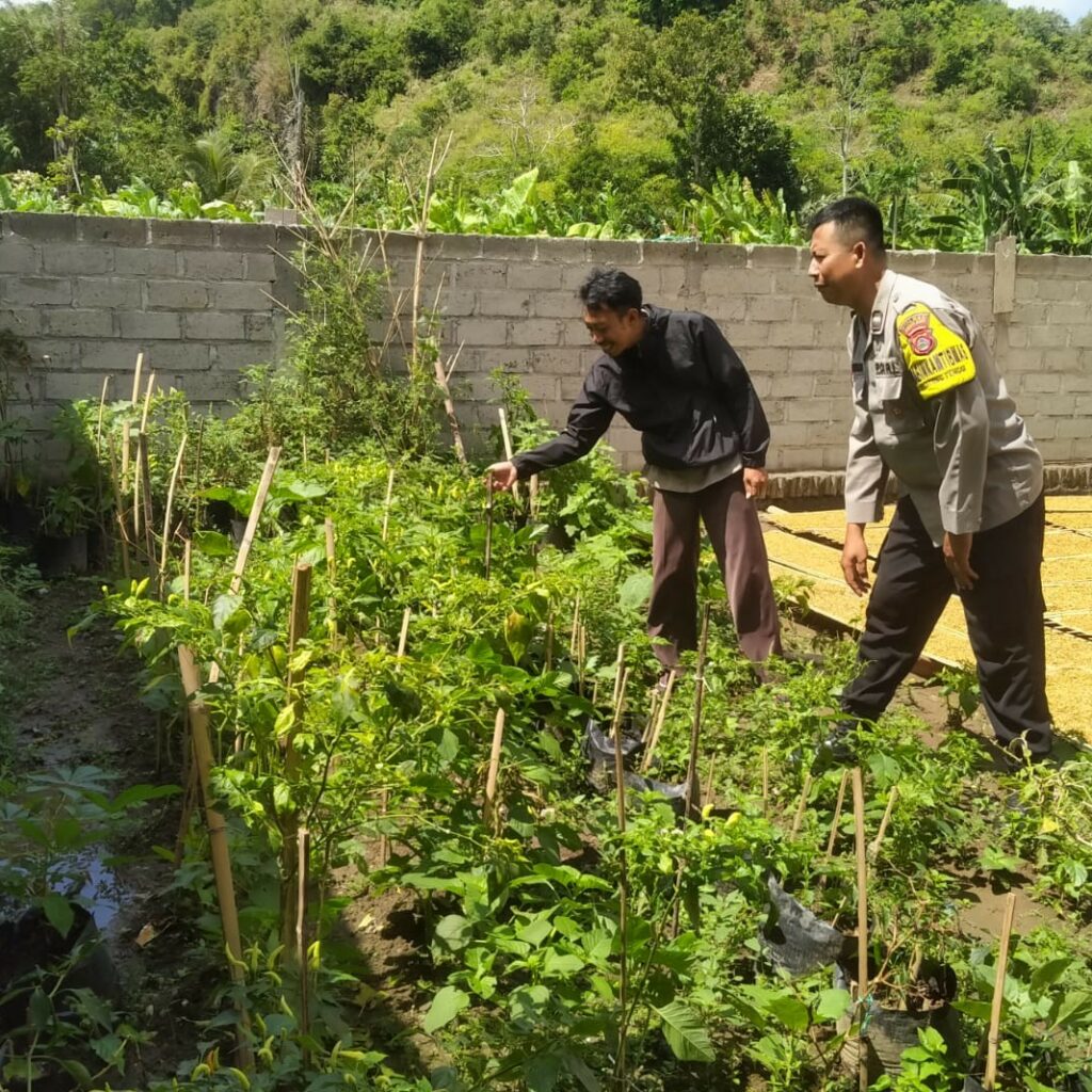 Inisiatif Humanis Polri di Sekotong Tengah, Edukasi Pangan dari Pekarangan Rumah