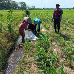 Polres Lombok Barat Kawal Ketahanan Pangan di Desa Kuripan