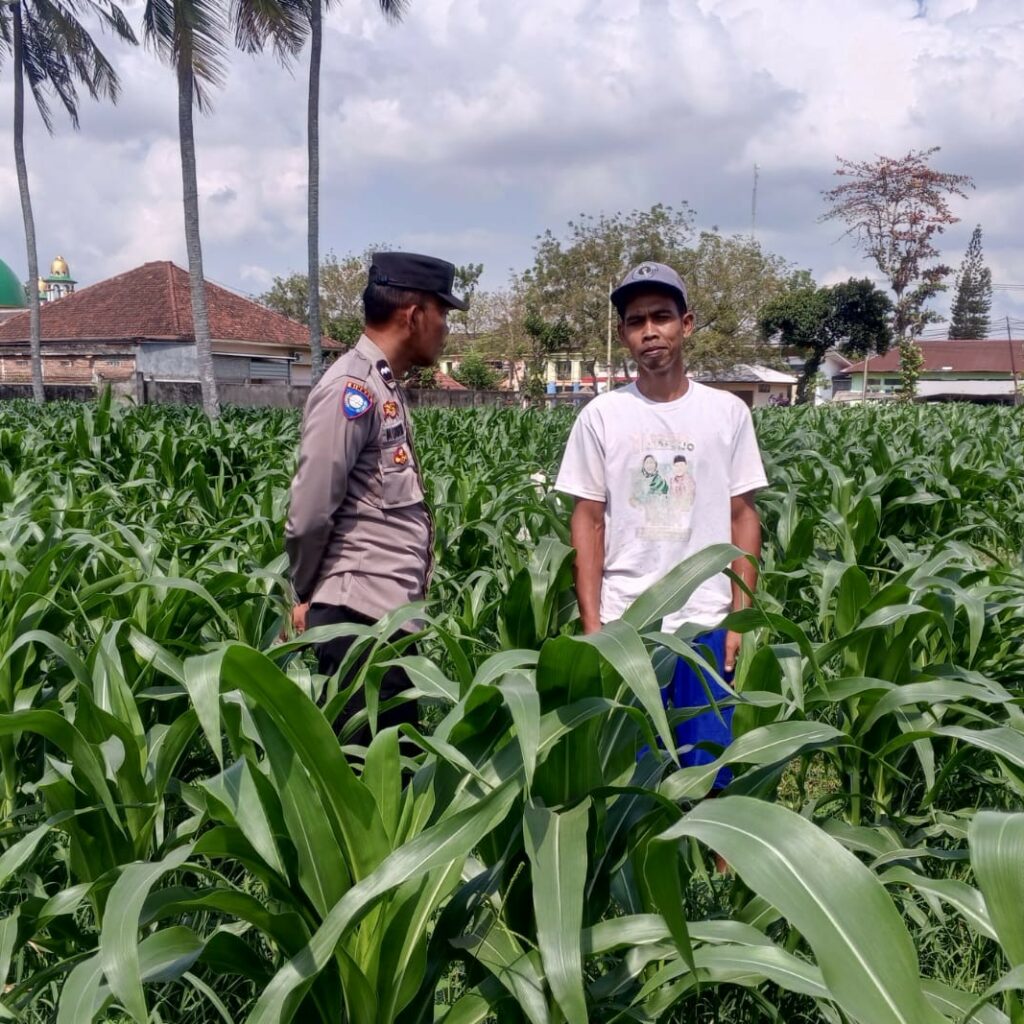 Bhabinkamtibmas Kuripan Ajak Warga Dusun Due Pelet Wujudkan Ketahanan Pangan