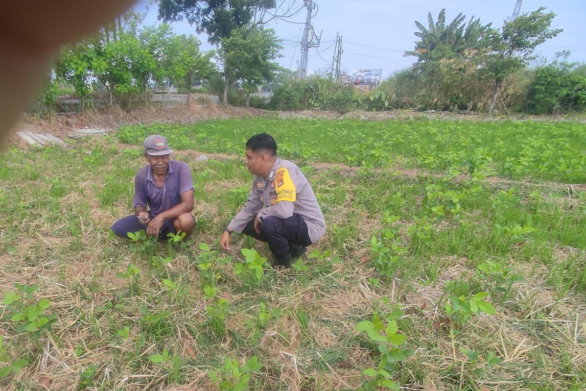 Sinergi Polri dan Warga Kuranji Dorong Desa Mandiri Pangan