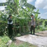 Bhabinkamtibmas Desa Perampuan Bina Warga Tanam Sayur untuk Ketahanan Pangan Lokal