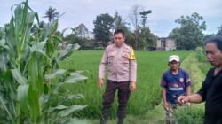 Dari Pekarangan Rumah, Warga Jagaraga Mulai Gerakan Ketahanan Pangan